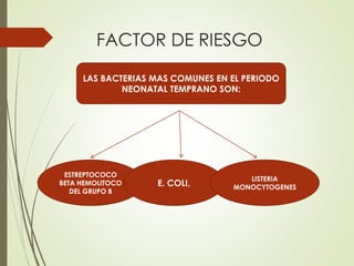 FACTOR DE RIESGO
LAS BACTERIAS MAS COMUNES EN EL PERIODO
NEONATAL TEMPRANO SON:
ESTREPTOCOCO
BETA HEMOLITOCO
DEL GRUPO B
E. COLI,
LISTERIA
MONOCYTOGENES
 