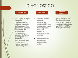 DIAGNOSTICO
CUAGULACION
• En la sepsis, múltiples
citoquinas
proinflamatorias
inician la cascada
de la coagulación
generando grandes
cantidades de
trombina y el
consecuente
deposito de fibrina
que originan una
trombosis
microvascular que
conduce a la
hipoxia tisular y al
fallo multiorganico…,
UROCULTIVO
• No debe formar
parte del
protocolo de
estudio del RN con
sospecha de sepsis
de inicio precoz
(solo si son
neonatos con
malformaciones
urinarias
• Pero es esencial
en sepsis de
presentación
tardía.
PUNCION
LUMBAR
• (LCR), hasta un 25%
de sepsis neonatal
pueden asociarse a
meningitis sobre todo
por (EGB) Y LISTERIA
MONOCYTOGENES
 
