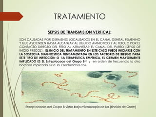 TRATAMIENTO
SON CAUSADAS POR GERMENES LOCALIZADOS EN EL CANAL GENITAL FEMENINO
Y QUE ASCIENDEN HASTA ALCANZAR AL LIQUIDO AMNIOTICO Y AL FETO, O POR EL
CONTACTO DIRECTO DEL FETO AL ATRAVESAR EL CANAL DEL PARTO (SEPSIS DE
INICIO PRECOZ). EL INICIO DEL TRATAMIENTO EN ESTE CASO PUEDE INICIARSE CON
LA SOSPECHA DIAGNOSTICA FUNDAMENTADA EN LOS FACTORES DE RIESGO PARA
ESTE TIPO DE INFECCIÓN O LA TERAPEUTICA EMPÍRICA, EL GERMEN MAYORMENTE
IMPLICADO ES EL Estreptococo del Grupo B(2) y en orden de frecuencia la otra
bacteria implicada es la la Esecherichia coli.
SEPSIS DE TRANSMISION VERTICAL:
Estreptococos del Grupo B vistos bajo microscopio de luz (tinción de Gram)
 