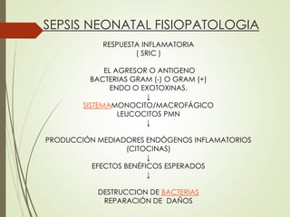 SEPSIS NEONATAL FISIOPATOLOGIA
RESPUESTA INFLAMATORIA
( SRIC )
EL AGRESOR O ANTIGENO
BACTERIAS GRAM (-) O GRAM (+)
ENDO O EXOTOXINAS.
↓
SISTEMAMONOCITO/MACROFÁGICO
LEUCOCITOS PMN
↓
PRODUCCIÓN MEDIADORES ENDÓGENOS INFLAMATORIOS
(CITOCINAS)
↓
EFECTOS BENÉFICOS ESPERADOS
↓
DESTRUCCION DE BACTERIAS
REPARACIÓN DE DAÑOS
 