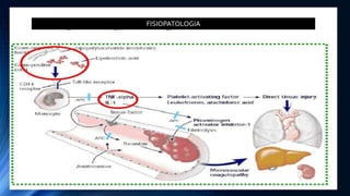FISIOPATOLOGIA
 