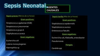 Sepsis precoz (Menos de 72 horas)
Gram positivos:
Streptococcus agalactiae (EGB)
Streptococcus pneumoniae
Streptococus grupo A
Staphylococcus aureus
Gram negativos:
Escherichia coli
Listeria monocytogenes
Haemophilus sp
Sepsis tardía (Mas de 72 horas)
Gram positivos:
Staphylococcus epidermidis
Staphylococcus aureus
Enterococcus faecalis
Gram negativos:
Escherichia coli, Klebsiella, enterobacter
Pseudomonas
Hongos:
Candida spp
AGENTES
CAUSALES
Sepsis Neonatal.
 