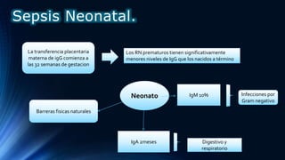 Los RN prematuros tienen significativamente
menores niveles de IgG que los nacidos a término
Neonato
La transferencia placentaria
materna de igG comienza a
las 32 semanas de gestacion
IgA 2meses Digestivo y
respiratorio
IgM 10% Infecciones por
Gram negativo
Barreras fisicas naturales
Sepsis Neonatal.
 