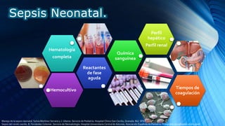 Sepsis Neonatal.
Hemocultivo
Reactantes
de fase
aguda
Hematología
completa
Química
sanguínea
Perfil
hepático
Perfil renal
Tiempos de
coagulación
Manejo de la sepsis neonatal. Sylvia Martínez Serrano y J. Uberos. Servicio de Pediatría. Hospital Clínico San Cecilio, Granada. Bol. SPAO 2014
Sepsis del recién nacido. B. Fernández Colomer. Servicio de Neonatología. Hospital Universitario Central de Asturias. Asociación Española de Pediatría. Protocolos actualizados al año 2008
 