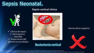 Sepsis vertical clínica
Hemocultivo negativo
 Clínica de sepsis.
 Hemograma
alterado.
 Aislamiento del
germen en exudados.
Sepsis Neonatal.
Manejo de la sepsis neonatal. Sylvia Martínez Serrano y J. Uberos. Servicio de Pediatría. Hospital Clínico San Cecilio, Granada. Bol. SPAO 2014
Sepsis del recién nacido. B. Fernández Colomer. Servicio de Neonatología. Hospital Universitario Central de Asturias. Asociación Española de Pediatría. Protocolos actualizados al año 2008
Bacteriemia vertical
 