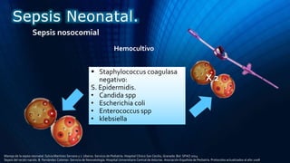  Staphylococcus coagulasa
negativo:
S. Epidermidis.
• Candida spp
• Escherichia coli
• Enterococcus spp
• klebsiella
X 2
Sepsis Neonatal.
Sepsis nosocomial
Manejo de la sepsis neonatal. Sylvia Martínez Serrano y J. Uberos. Servicio de Pediatría. Hospital Clínico San Cecilio, Granada. Bol. SPAO 2014
Sepsis del recién nacido. B. Fernández Colomer. Servicio de Neonatología. Hospital Universitario Central de Asturias. Asociación Española de Pediatría. Protocolos actualizados al año 2008
Hemocultivo
 