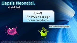 Mortalidad.
8-10%
RN PAN < 1500 gr
Gram negativos
Pseudomona aeruginosa
Sepsis Neonatal.
Manejo de la sepsis neonatal. Sylvia Martínez Serrano y J. Uberos. Servicio de Pediatría. Hospital Clínico San Cecilio, Granada. Bol. SPAO 2014
Sepsis del recién nacido. B. Fernández Colomer. Servicio de Neonatología. Hospital Universitario Central de Asturias. Asociación Española de Pediatría. Protocolos actualizados al año 2008
 