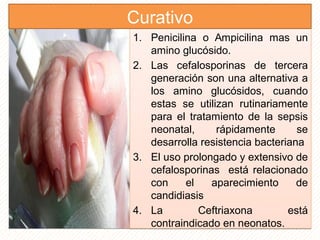 1. Penicilina o Ampicilina mas un
amino glucósido.
2. Las cefalosporinas de tercera
generación son una alternativa a
los amino glucósidos, cuando
estas se utilizan rutinariamente
para el tratamiento de la sepsis
neonatal, rápidamente se
desarrolla resistencia bacteriana
3. El uso prolongado y extensivo de
cefalosporinas está relacionado
con el aparecimiento de
candidiasis
4. La Ceftriaxona está
contraindicado en neonatos.
1. Penicilina o Ampicilina mas un
amino glucósido.
2. Las cefalosporinas de tercera
generación son una alternativa a
los amino glucósidos, cuando
estas se utilizan rutinariamente
para el tratamiento de la sepsis
neonatal, rápidamente se
desarrolla resistencia bacteriana
3. El uso prolongado y extensivo de
cefalosporinas está relacionado
con el aparecimiento de
candidiasis
4. La Ceftriaxona está
contraindicado en neonatos.
Curativo
 