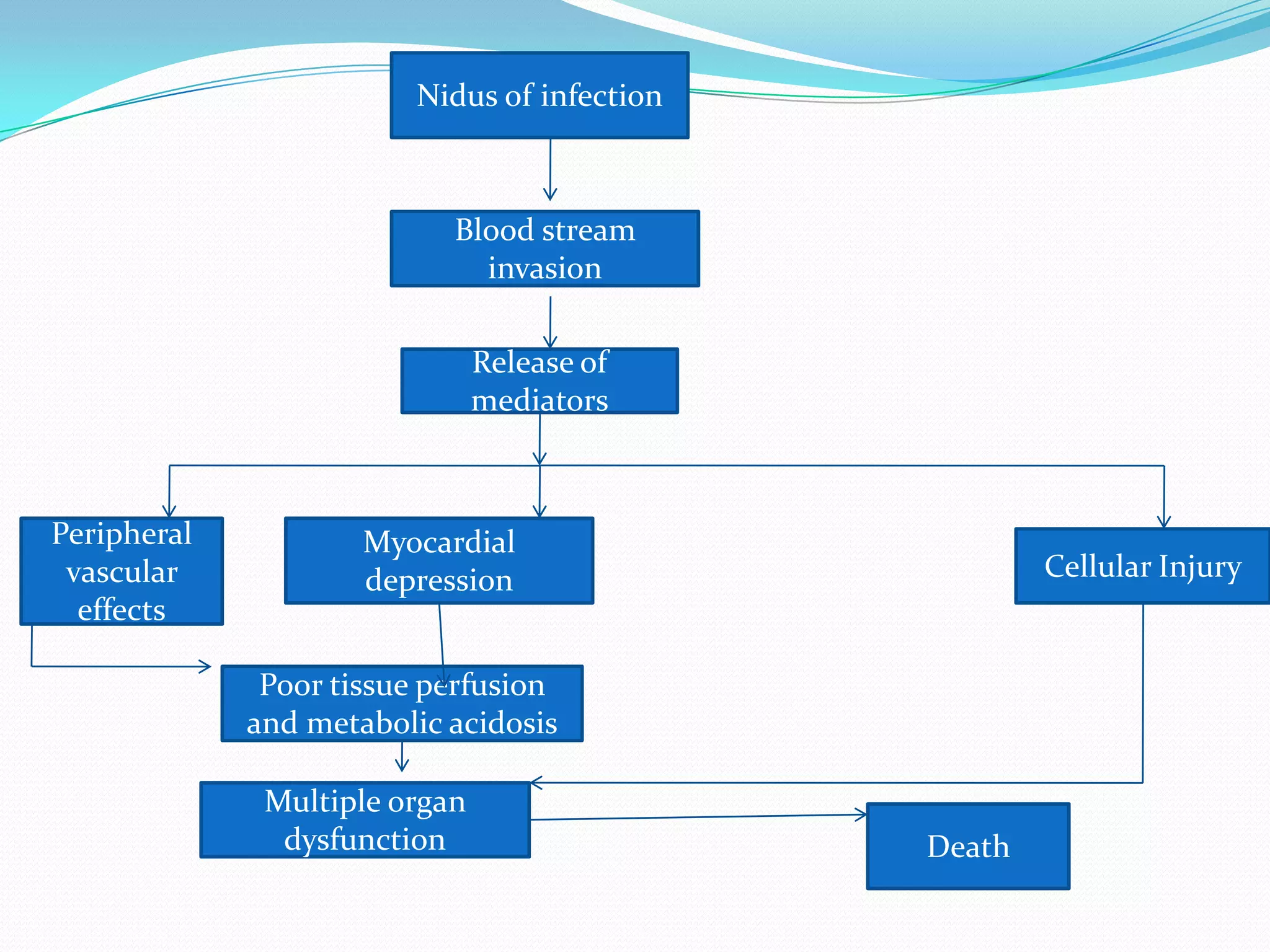 Nidus of infection
Blood stream
invasion
Release of
mediators
Peripheral
vascular
effects
Myocardial
depression Cellular Injury
Poor tissue perfusion
and metabolic acidosis
Multiple organ
dysfunction Death
 