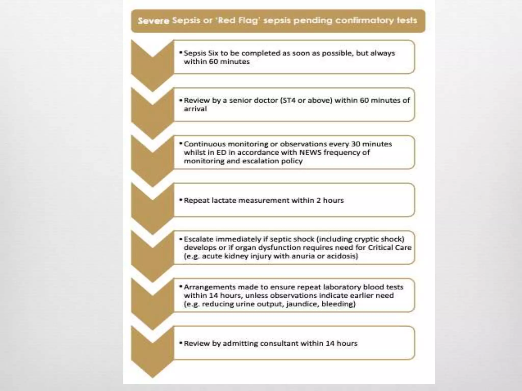 Acute Sepsis - Emergency Management | PPTX
