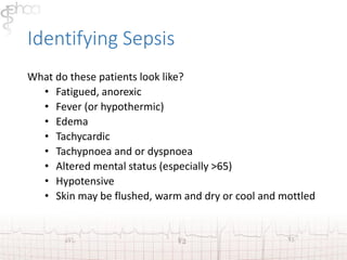 Identifying Sepsis 
What do these patients look like? 
• Fatigued, anorexic 
• Fever (or hypothermic) 
• Edema 
• Tachycardic 
• Tachypnoea and or dyspnoea 
• Altered mental status (especially >65) 
• Hypotensive 
• Skin may be flushed, warm and dry or cool and mottled 
 