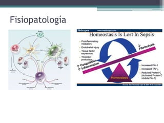 Fisiopatología
 
