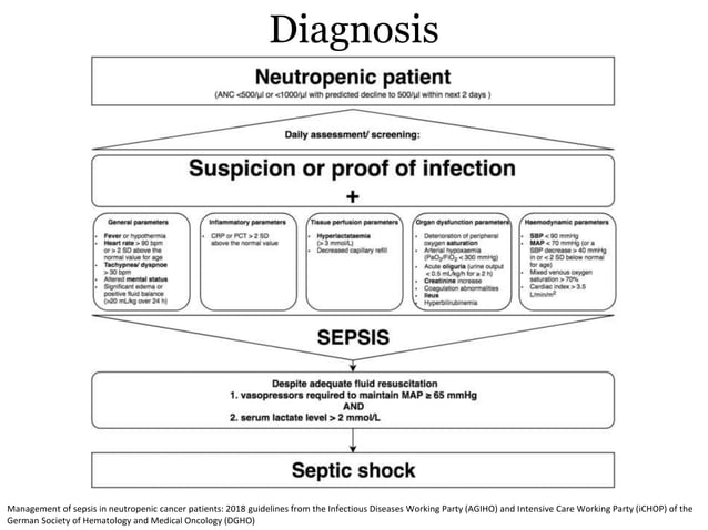 Sepsis | PPTX | First Aid | Injuries