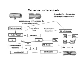 Mecanismo de Hemostasia
                                        Coagulación y Activación
                                        del Sistema fibrinolitico

Vasoespasmo y Formación del
   trombo Plaquetario

           Traumatismo    Traumatismo
              Tisular      Sanguíneo

     +
  Ca++

                                            +
                                                      FIBRINA
 