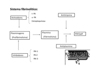 Sistema fibrinolitico:
                      t- PA
                                                    Antitripsina
 Activadores          u- PA
                      Estreptoquinasa




Plasminogeno                     Plasmina
                                                                   PDF/pdf
 (Profibrinolisina)               (Fibrinolisina)



                                                    Antiplasmina

                        PAI-1

  Inhibidores           PA-2
                        PAI-3
 