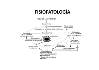 FISIOPATOLOGÍA
 