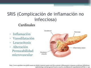 Penecto Sepsis y SRIS | PPTX