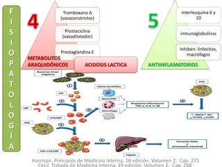 Cecil. Tratado de Medicina Interna. 19 edición. Volumen 2. Cap. 288
Harrison. Principios de Medicina Interna. 18 edición. Volumen 2. Cap. 271
F
I
S
I
O
P
A
T
O
L
O
G
Í
A
Tromboxano A
(vasoconstrictor)
Prostaciclina
(vasodilatador)
Prostaglandina E
Interleuquina 6 y
10
inmunoglobulinas
Inhiben: linfocitos,
macrófagos
ACIDOSIS LACTICA
METABOLITOS
ARAQUIDÓNICOS ANTIINFLAMATORIOS
 