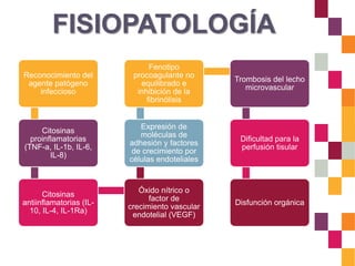 FISIOPATOLOGÍA
Reconocimiento del
agente patógeno
infeccioso
Citosinas
proinflamatorias
(TNF-a, IL-1b, IL-6,
IL-8)
Citosinas
antiinflamatorias (IL-
10, IL-4, IL-1Ra)
Óxido nítrico o
factor de
crecimiento vascular
endotelial (VEGF)
Expresión de
moléculas de
adhesión y factores
de crecimiento por
células endoteliales
Fenotipo
procoagulante no
equilibrado e
inhibición de la
fibrinólisis
Trombosis del lecho
microvascular
Dificultad para la
perfusión tisular
Disfunción orgánica
 