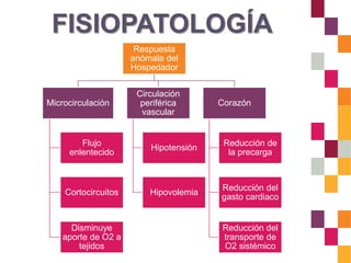 FISIOPATOLOGÍA
Respuesta
anómala del
Hospedador
Microcirculación
Flujo
enlentecido
Cortocircuitos
Disminuye
aporte de O2 a
tejidos
Circulación
periférica
vascular
Hipotensión
Hipovolemia
Corazón
Reducción de
la precarga
Reducción del
gasto cardiaco
Reducción del
transporte de
O2 sistémico
 