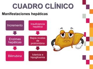CUADRO CLÍNICO
Manifestaciones hepáticas
Incremento
Enzimas
hepáticas
Bilirrubina
Insuficiencia
hepática
Bajos niveles
de
protrombina
Ictericia e
hipoglicemia
 