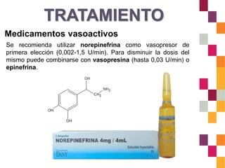 TRATAMIENTO
Medicamentos vasoactivos
Se recomienda utilizar norepinefrina como vasopresor de
primera elección (0,002-1,5 U/min). Para disminuir la dosis del
mismo puede combinarse con vasopresina (hasta 0,03 U/min) o
epinefrina.
 