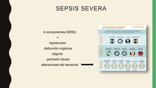 SEPSIS SEVERA
4 componentes (SRIS)
+
hipotensión
disfunción orgánica
oliguria
perfusión tisular
alteraciones del sensorial
 