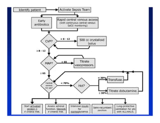 Sepsis y Trauma