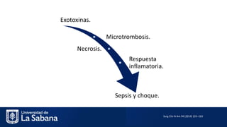 Exotoxinas.
Microtrombosis.
Necrosis.
Respuesta
inflamatoria.
Sepsis y choque.
Surg Clin N Am 94 (2014) 155–163
 