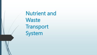 Nutrient and
Waste
Transport
System
 