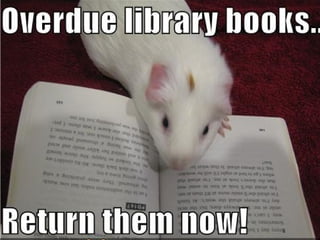 Friday, June 1 (5/4 week)


It’s that time of year when you need to
 return all library books to the library!
 