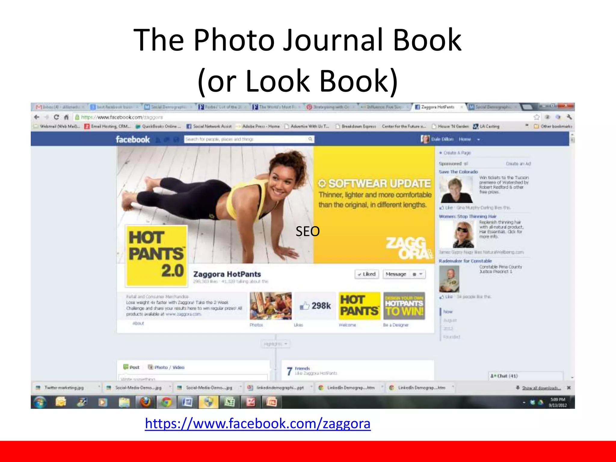 The Photo Journal Book
      (or Look Book)


www.onlinebizSMARTs.com
           SEO




  https://www.facebook.com/zaggora
 