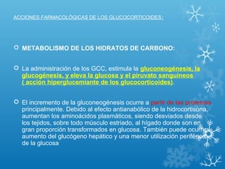 ACCIONES FARMACOLÓGICAS DE LOS GLUCOCORTICOIDES:
 METABOLISMO DE LOS HIDRATOS DE CARBONO:
 La administración de los GCC, estimula la gluconeogénesis, la
glucogénesis, y eleva la glucosa y el piruvato sanguíneos
( acción hiperglucemiante de los glucocorticoides).
 El incremento de la gluconeogénesis ocurre a partir de las proteínas
principalmente. Debido al efecto antianabólico de la hidrocortisona,
aumentan los aminoácidos plasmáticos, siendo desviados desde
los tejidos, sobre todo músculo estriado, al hígado donde son en
gran proporción transformados en glucosa. También puede ocurrir
aumento del glucógeno hepático y una menor utilización periférica
de la glucosa
 