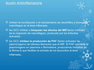 Acción Antiinflamatoria
 inhiben la movilización o el reclutamiento de neutrófilos y monocitos
macrófagos en el área inflamada.
 los GCC inhiben o bloquean los efectos del MIF(factor inhibidor
de la migración de macrófagos), producido por los linfocitos
activados.
 los GCC inhiben la producción de PAF (factor activador de
plasminógeno) de idéntica liberación que el MIF. El PAF convierte el
plasminógeno en plasmina o fibrinolisina, produciendo hidrólisis de
la fibrina lo que facilitan la entrada de los leucocitos al área
inflamada.
 