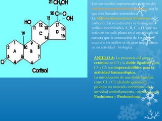 Los corticoides suprarrenales derivan del
ciclopentanoperhidrofenantreno, por lo
que son llamados esteroides.
La hidrocortisona posee 21 átomos de
carbono. En su estructura se distinguen 4
anillos denominados A, B, C, y D que no
están en un solo plano en el espacio, de tal
manera que la orientación de los grupos
unidos a los anillos es de gran importancia
en su actividad biológica.
ANILLO A: La presencia del grupo
cetónico en C3 y la doble ligadura entre
C4 y C5 son imprescindibles para la
actividad farmacológica.
La introducción de una doble ligadura
entre C1 y C2 (deshidrogenación)
produce un marcado incremento en la
actividad antiinflamatoria, originándose la
Prednisona y Prednisolona.
 