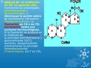  ANILLO B: La metilación
en C6, en posición alfa,
incrementa las propiedades
antiinflamatorias y
glucocorticoides, y
disminuye la acción sobre
el metabolismo hidrosalino
(Metilprednisolona). La
fluoración en C6 o en C9,
incrementa todas sus
acciones farmacológicas.
Si la fluoración se produce en
la molécula de Prednisolona,
la actividad antiinflamatoria y
glucocorticoide (GCC)
aumenta, desapareciendo
prácticamente la actividad
mineralocorticoide
(Triamcinolona, etc F en C9).
 
