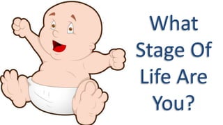 What 
Stage Of 
Life Are 
You? 
 