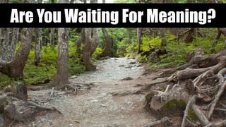 Are You Waiting For Meaning?
 