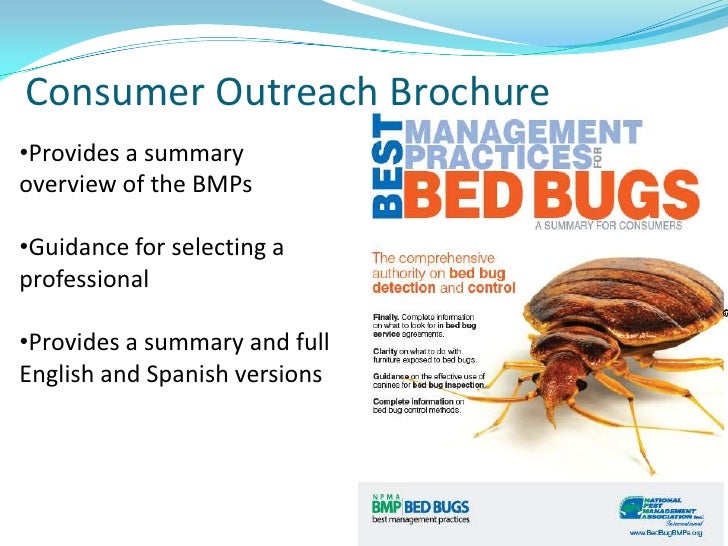 5 Npma Bed Bug Best Management Practices Global Perspective