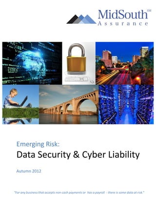 Emerging Risk:
 Data Security & Cyber Liability
 Autumn 2012



“For any business that accepts non-cash payments or has a payroll - there is some data at risk.”
 