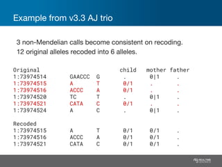 Example from v3.3 AJ trio
3 non-Mendelian calls become consistent on recoding.
12 original alleles recoded into 6 alleles.
Original child mother father
1:73974514 GAACCC G . 0|1 .
1:73974515 A T 0/1 . .
1:73974516 ACCC A 0/1 . .
1:73974520 TC T . 0|1 .
1:73974521 CATA C 0/1 . .
1:73974524 A C . 0|1 .
Recoded
1:73974515 A T 0/1 0/1 .
1:73974516 ACCC A 0/1 0/1 .
1:73974521 CATA C 0/1 0/1 .
 