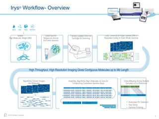2
©2015 BioNano Genomics
Algorithms Convert Images
into Molecules
Assembly Algorithms Align Molecules de novo for
Constructing Consensus Genome Maps
Cross-Mapping Across Multiple
Samples or to a Reference
High Throughput, High Resolution Imaging Gives Contiguous Molecules up to Mb Length
• Automated SV Detection
• Gap Sizing
• Genome Finishing
Isolate
High Molecular Weight DNA
Label Specific
Sequences Across
the Entire Genome
Transfer Labeled DNA into
Cartridge for Scanning
Insertion
Irys® Workflow- Overview
Load, Linearize & Image Labeled DNA in
Repeated Cycling to Scan Whole Genome
 