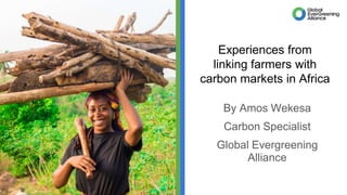 Experiences from
linking farmers with
carbon markets in Africa
By Amos Wekesa
Carbon Specialist
Global Evergreening
Alliance
 