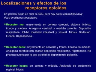 Receptor mu: mayormente en corteza cerebral, sistema límbico,
tronco y médula. Analgesia cerebral y medular potente. Depresión
respiratoria. Inhibe motilidad intestinal y vesical. Miosis. Sedación.
Euforia. Dependencia.
Receptor delta: mayormente en encéfalo y tronco. Escaso en médula.
Analgesia cerebral con escasa depresión respiratoria. Hipotensión. No
provoca euforia por lo que es difícil la dependencia psíquica.
Receptor kappa: en corteza y médula. Analgesia de predominio
espinal. Miosis
En general están en todo el SNC, pero hay áreas específicas muy
ricas en algunos receptores
Localizaciones y efectos de los
receptores opioides
 