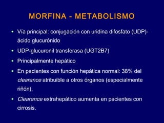 MORFINA - METABOLISMO
• Vía principal: conjugación con uridina difosfato (UDP)-
ácido glucurónido
• UDP-glucuronil transferasa (UGT2B7)
• Principalmente hepático
• En pacientes con función hepática normal: 38% del
clearance atribuible a otros órganos (especialmente
riñón).
• Clearance extrahepático aumenta en pacientes con
cirrosis.
 