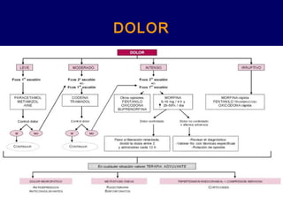 DOLOR
 