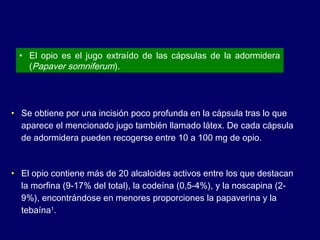 • Se obtiene por una incisión poco profunda en la cápsula tras lo que
aparece el mencionado jugo también llamado látex. De cada cápsula
de adormidera pueden recogerse entre 10 a 100 mg de opio.
• El opio contiene más de 20 alcaloides activos entre los que destacan
la morfina (9-17% del total), la codeína (0,5-4%), y la noscapina (2-
9%), encontrándose en menores proporciones la papaverina y la
tebaína1
.
• El opio es el jugo extraído de las cápsulas de la adormidera
(Papaver somniferum).
 