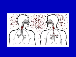 TREATMENT FOR LATENT TUBERCULOSIS INFECTION visual data 7