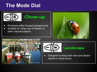 The Mode Dial
● Produces softly focused backgrounds.
● Suitable for close-ups of flowers or
other natural subjects.
● Designed to keep both near and distant
objects in sharp focus.
Close-up
Landscape
 
