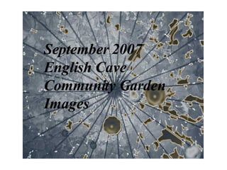 September 2007 English Cave  Community Garden Images 